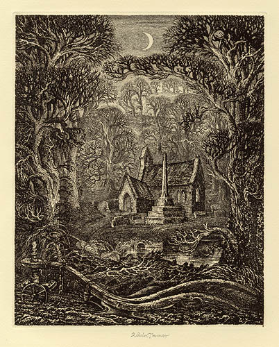 December: Elegy for the English Elm II by Robin Tanner