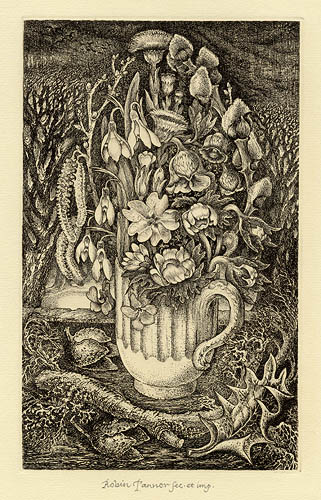 February by Robin Tanner