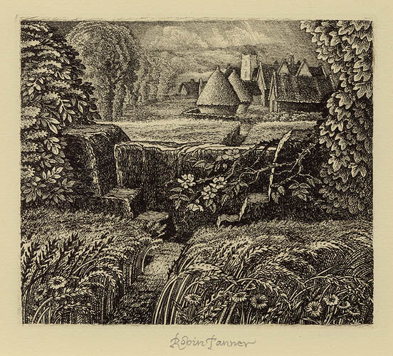 June by Robin Tanner 