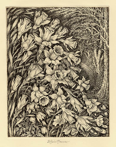 March by Robin Tanner