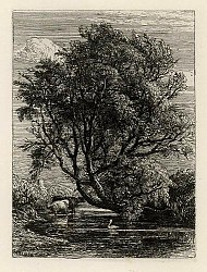 The Willow by Samuel Palmer