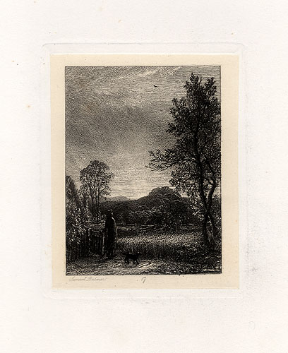 The Skylark by Samuel Palmer 