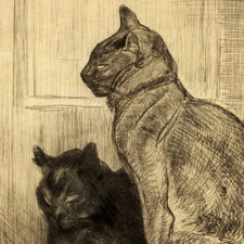 Deux chats sur un meuble by Théophile Alexandre Steinlen Deux chats sur un meuble by Théophile Alexandre Steinlen