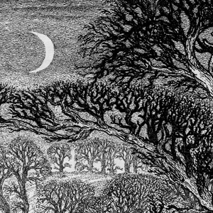 December: Elegy for the English Elm II by Robin Tanner December: Elegy for the English Elm II by Robin Tanner