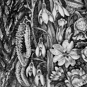 February by Robin Tanner February by Robin Tanner