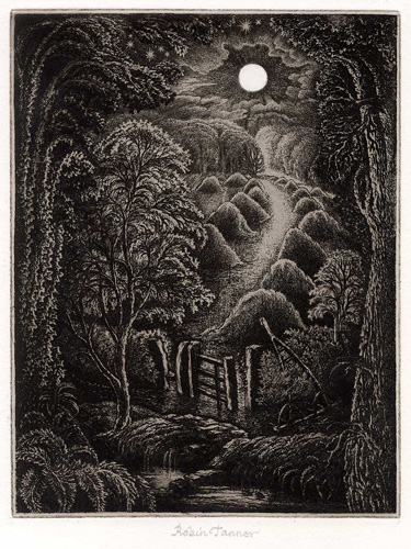 Full Moon by Robin Tanner 