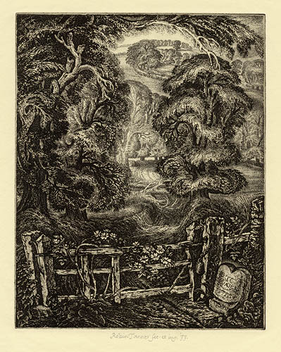 The Old Road: Elegy for the English Elm I by Robin Tanner