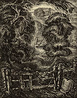 The Old Road: Elegy for the English Elm I