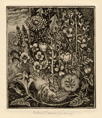 Weeds by Robin Tanner