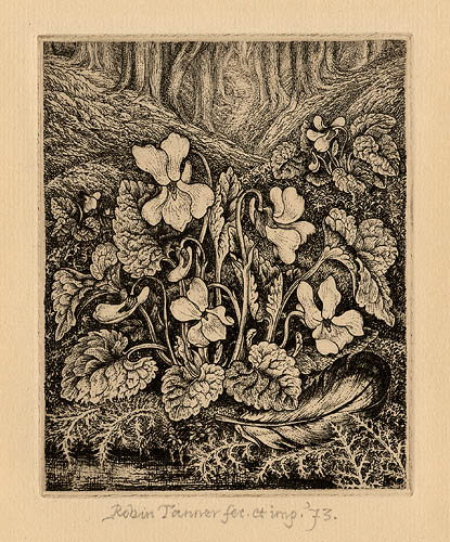 White Violets by Robin Tanner